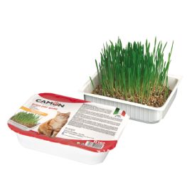 Erba Gatto Camon C/Semi Orzo Gatti Display