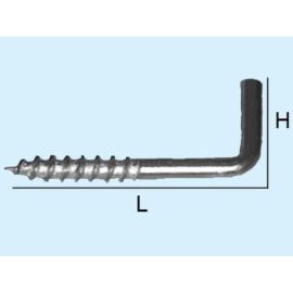 screw 1/2 21x80