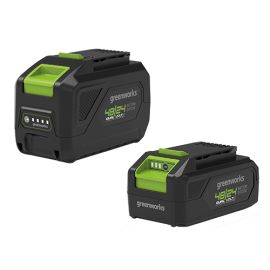 Batterie Greenworks 48V G4824B2