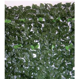 Evergreen Lauro hedge size 1x3 mt