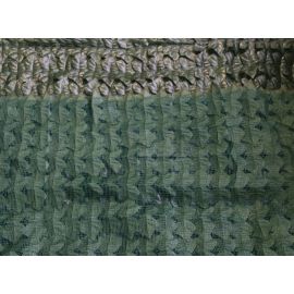 Evergreen hedge Ivy Basic size 1x3 mt